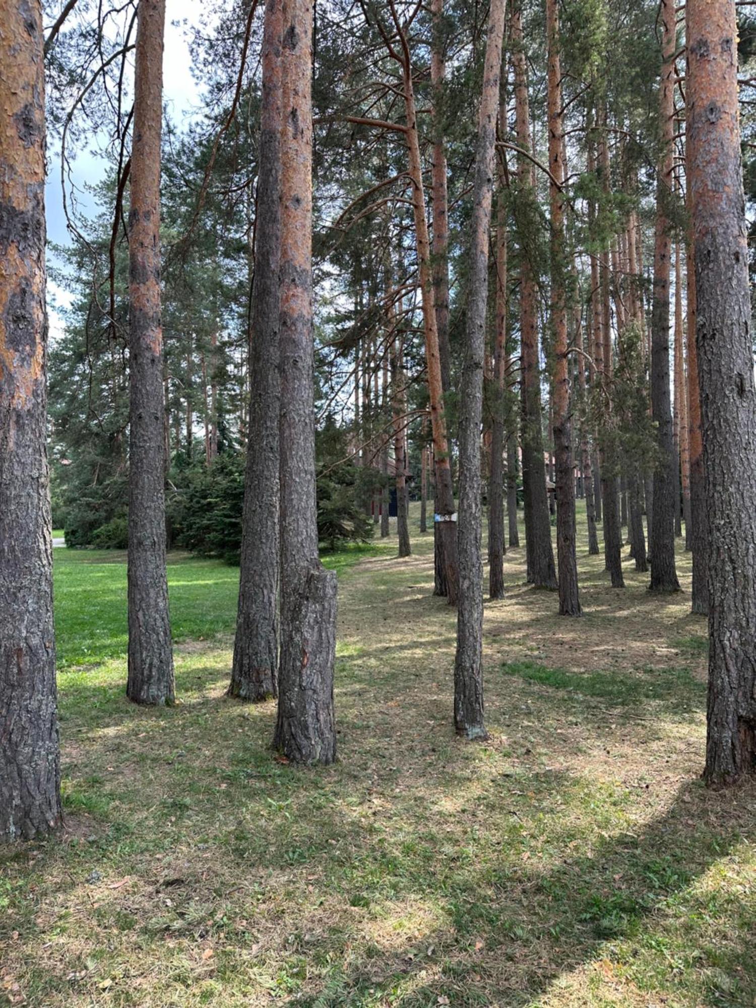 Apartment Montevia Mont Zlatibor